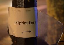 Offprint Paris 2011