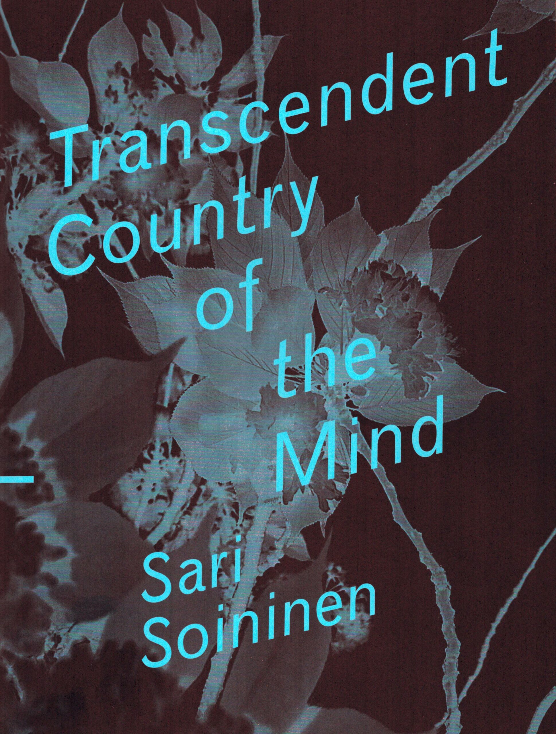 Sari Soininen : Transcendent Country of the Mind