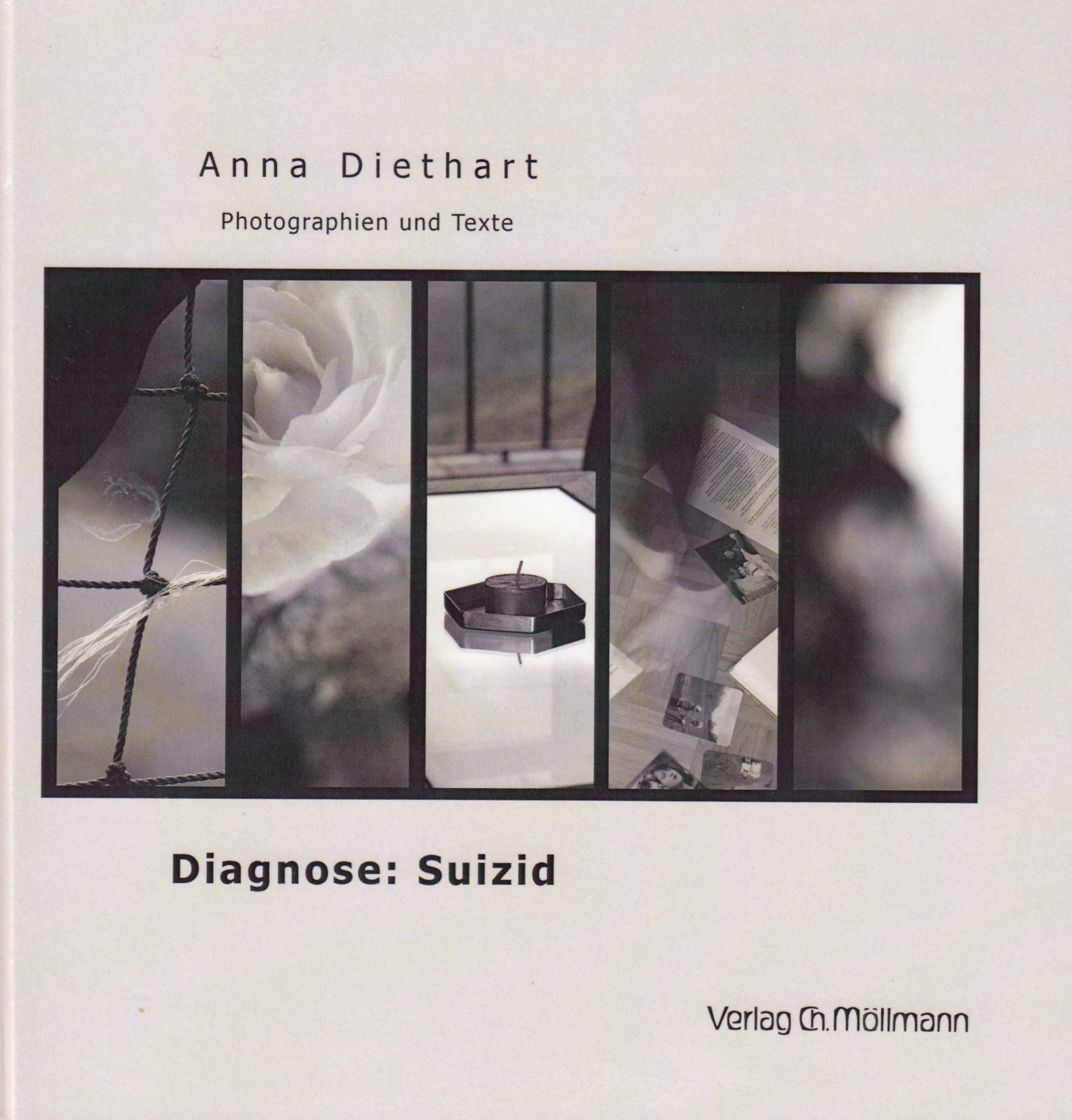 Anna Diethart : Diagnose: Suizid