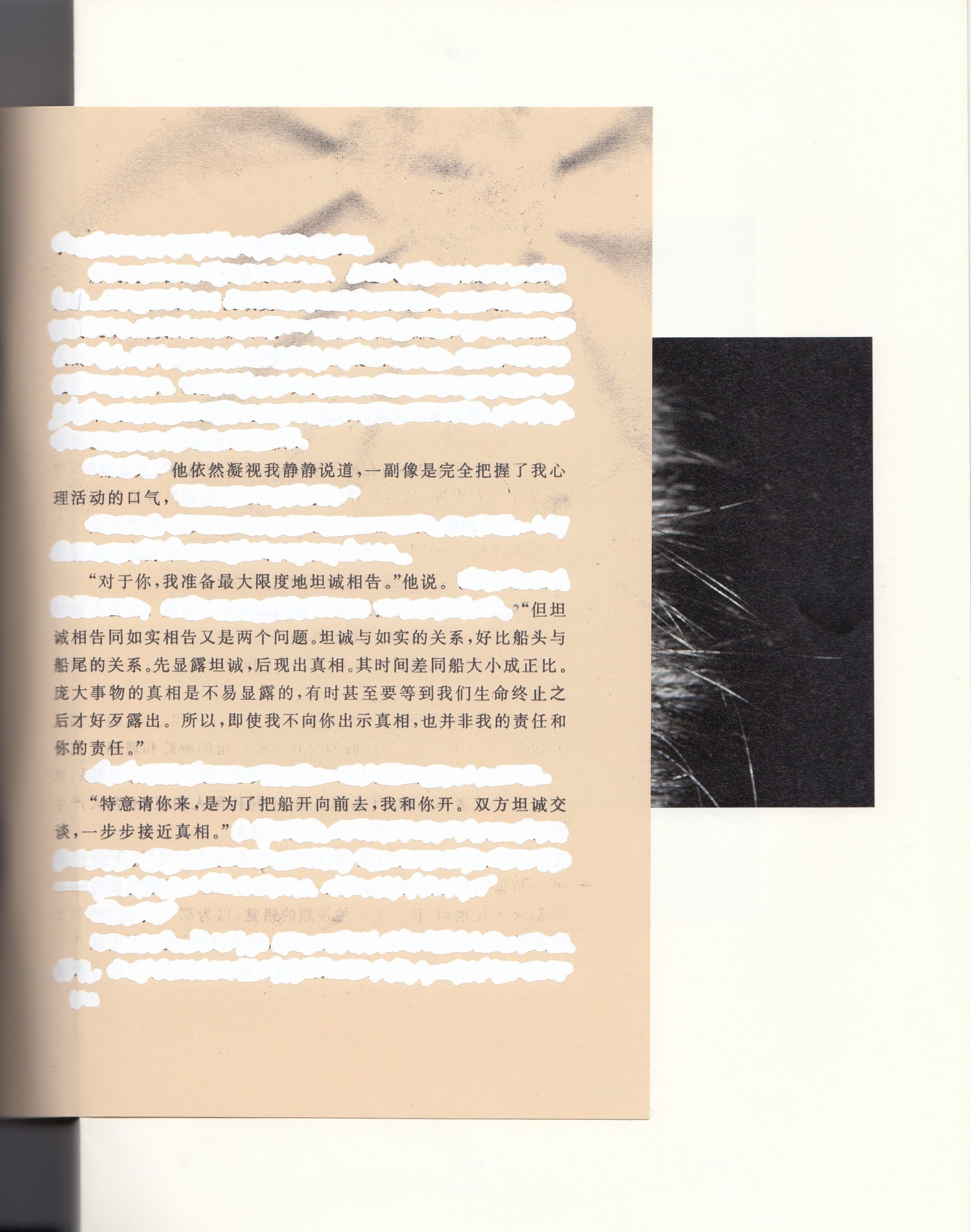 Chen Zhe : Bees & The Bearable