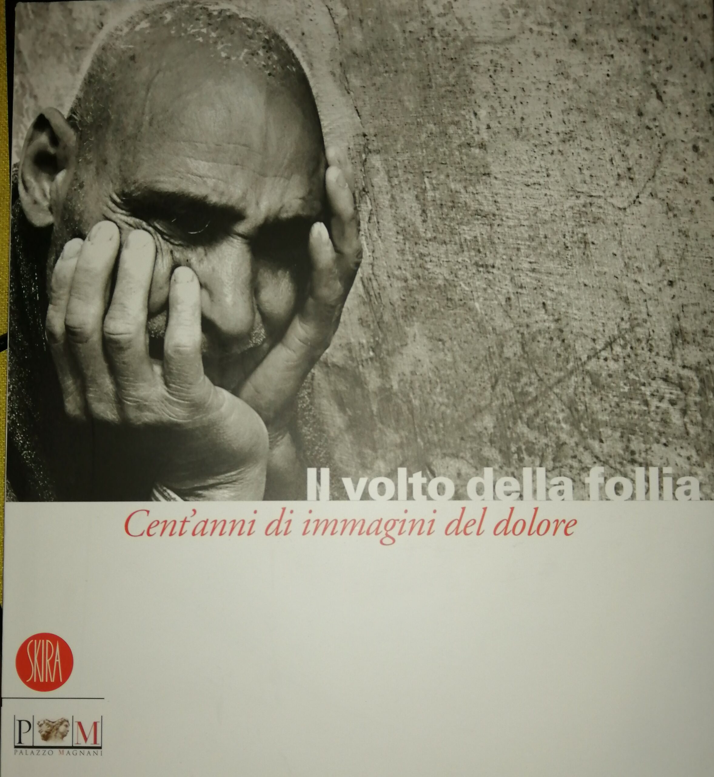 Sandro Parmiggiani (Kurator) : Il volto della folia. Cent’anni di immagini del dolore