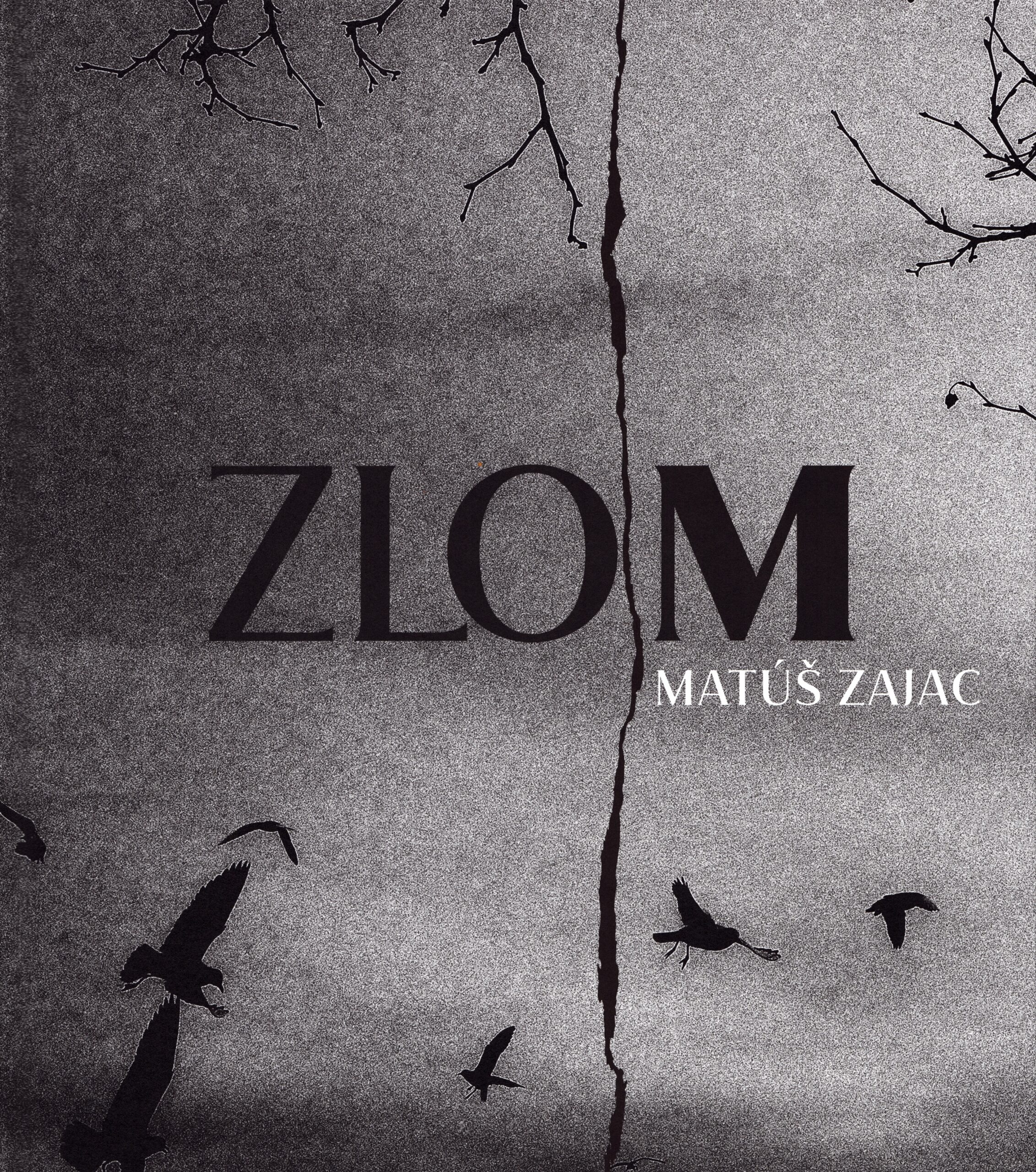 Matúš Zajac : Zlom