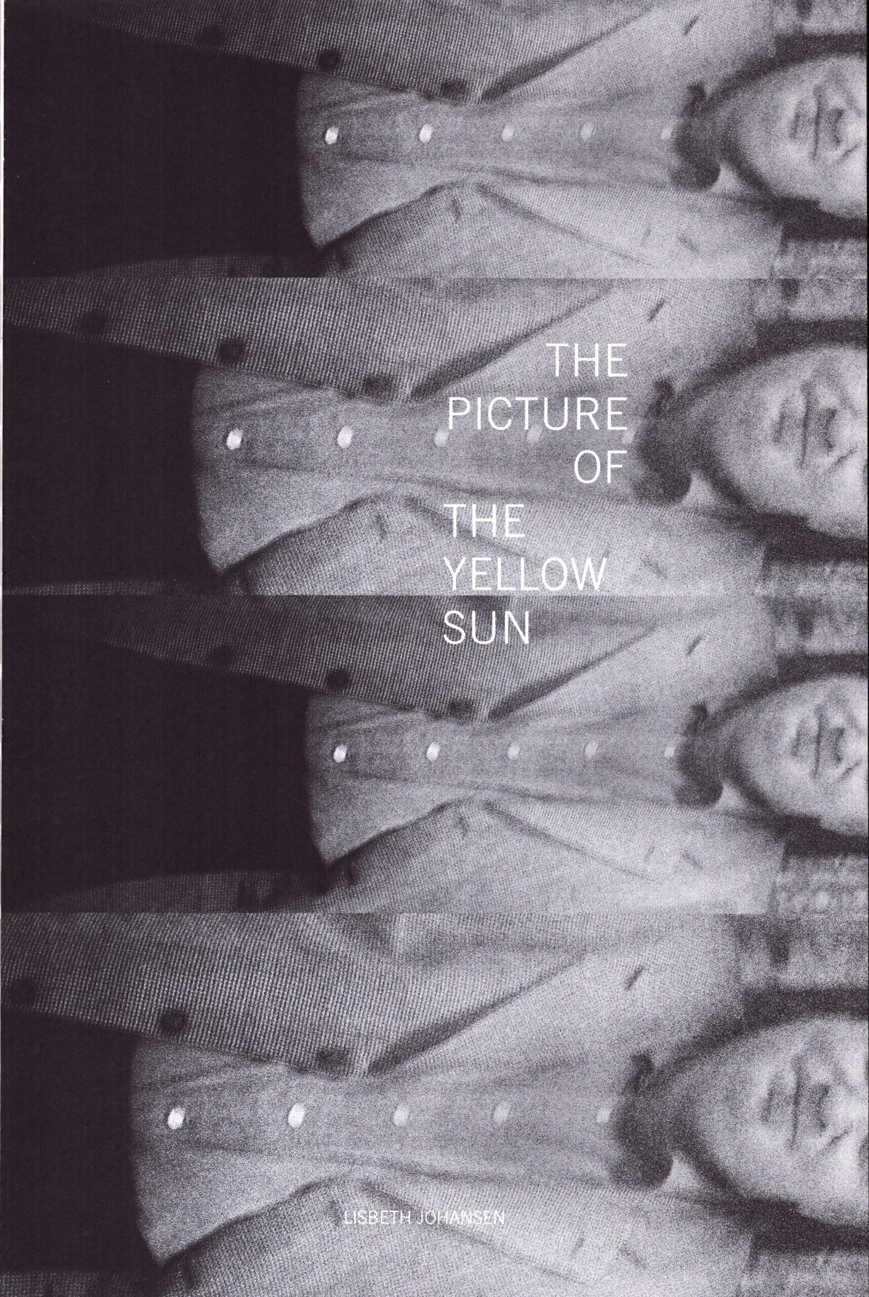 Lisbeth Johansen : THE PICTURE OF THE YELLOW SUN