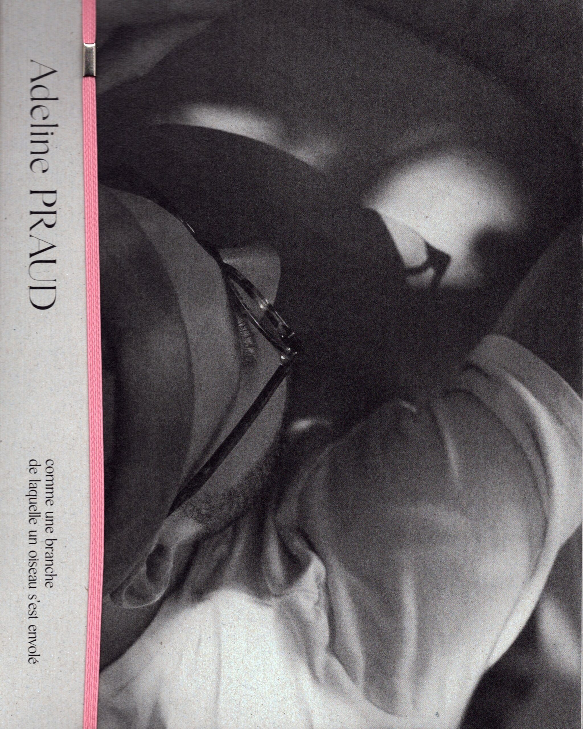 Adeline Praud : comme une branche de laquelle un oiseau s’est envolé