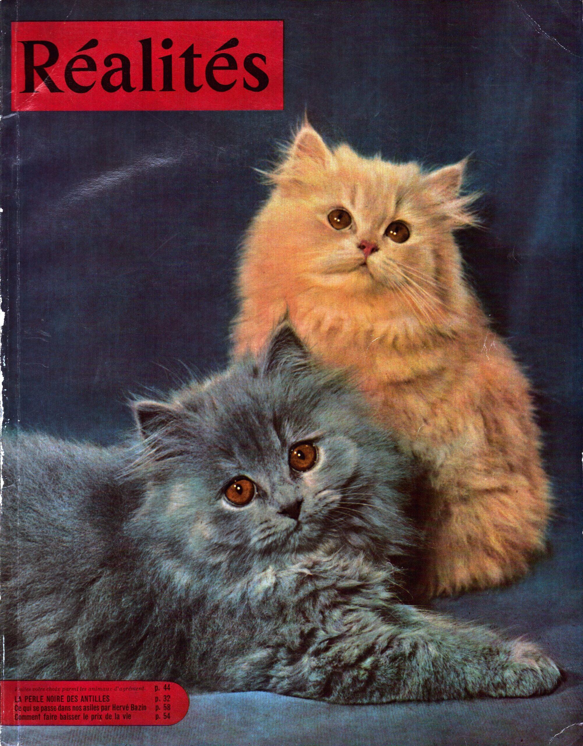 Hervé Bazin, Jean-Philippe Charbonnier : Bon Pour L’Asile