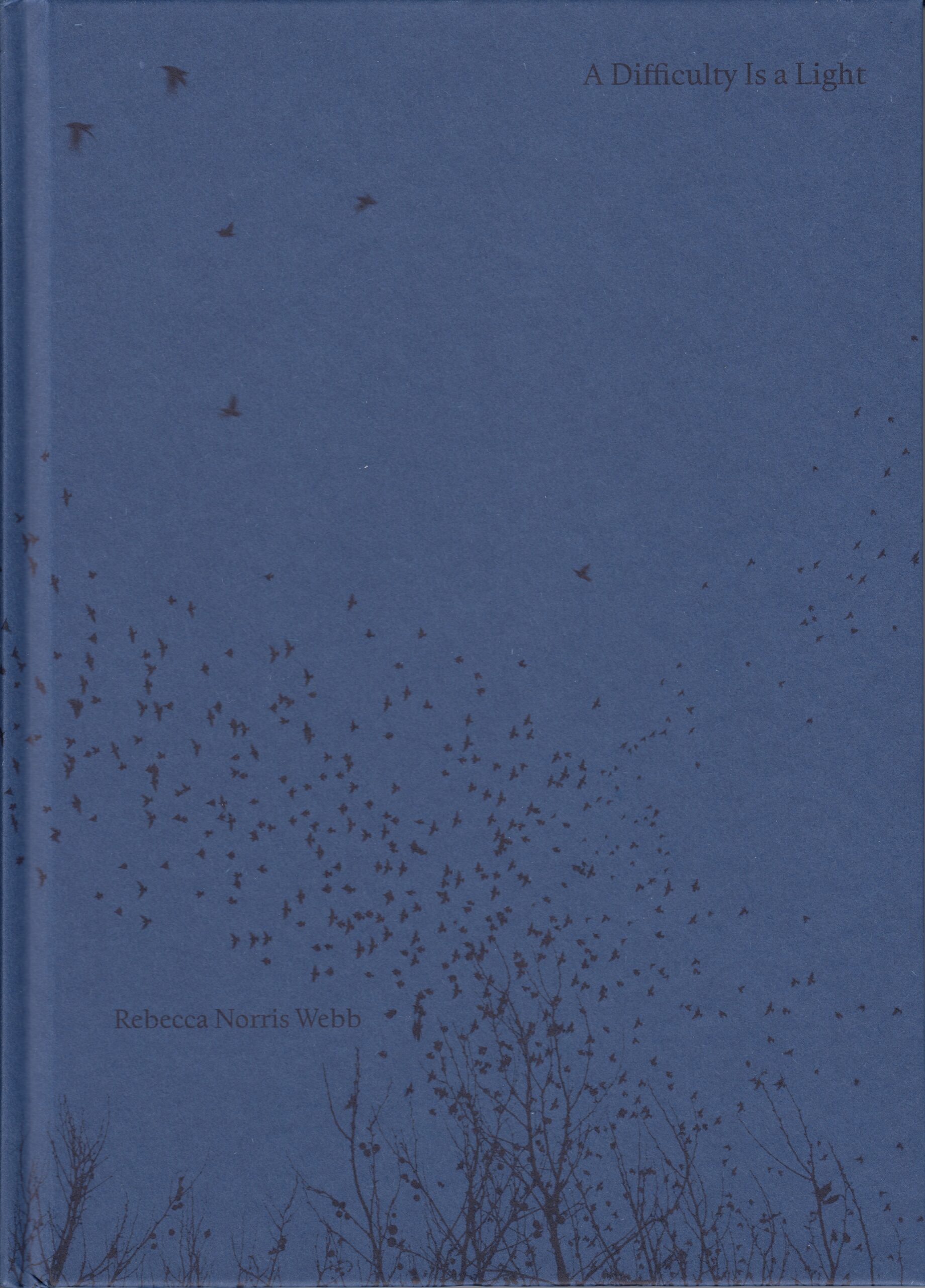 Rebecca Norris Webb : A Difficulty Is a Light