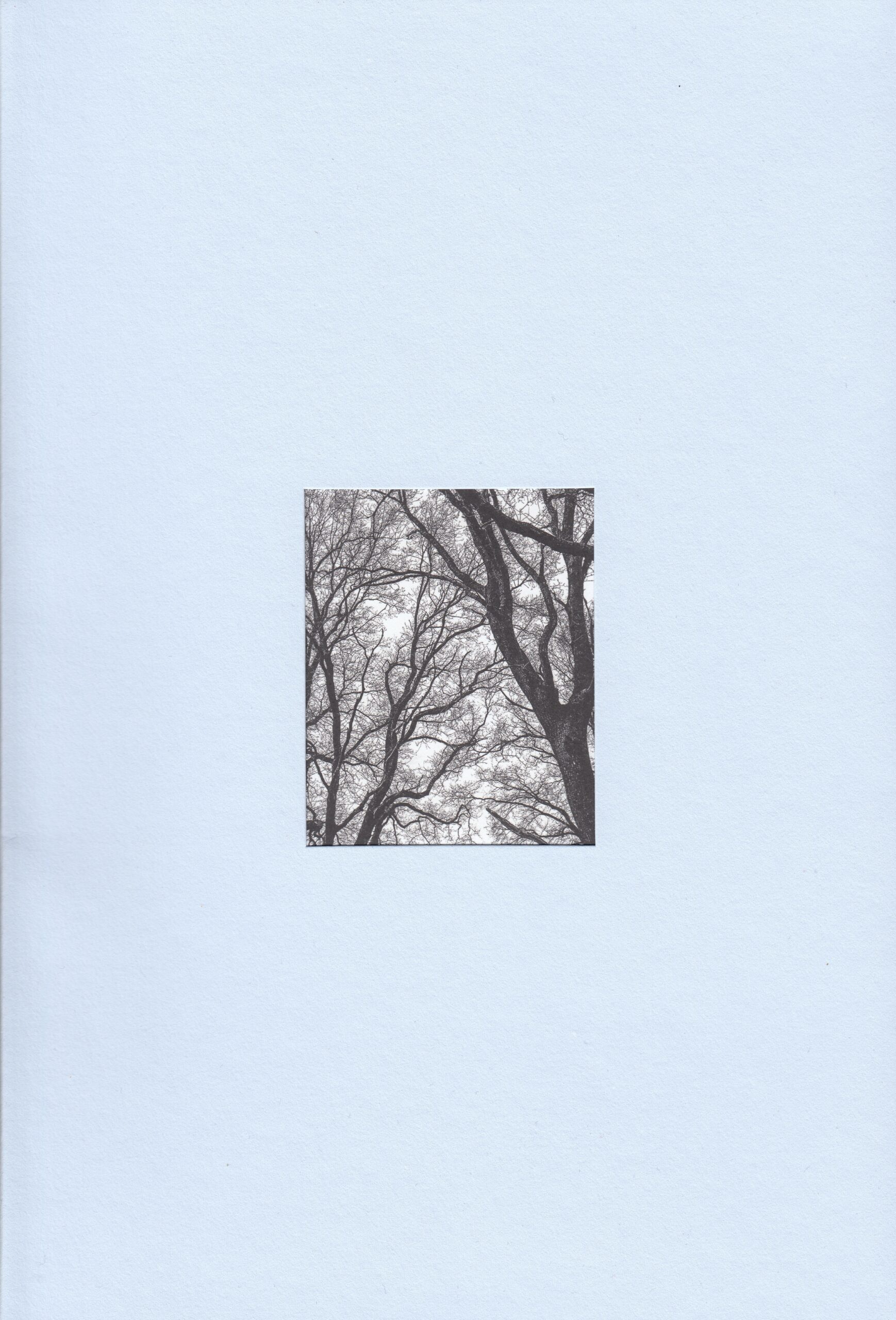 Ester Afman : Mijn papa is de baas van alle vogels